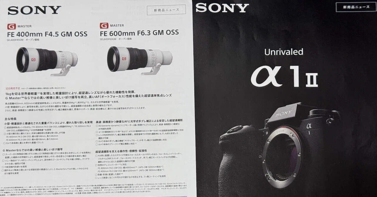 SONYのカメラの標準レンズ SONYの663が気になってしょうがないNikonの663ユーザーが心を鎮めた話