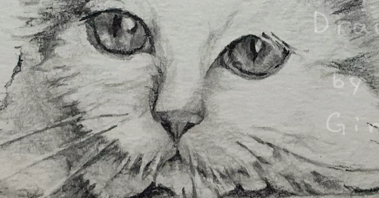 鉛筆画「Nap time」　B5大サイズ 小さいマットに合わせて描いた鉛筆画□□note含め、SNSに疲れました