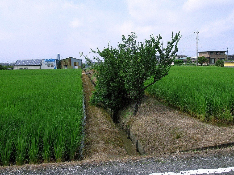 3小垣江町弁天