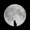 mooncatvoice