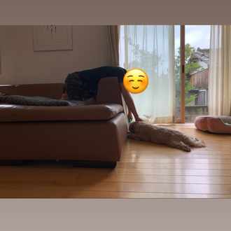 メルカリ転売で成功するための商品 10選 大学生ビジネスマン 月収30万は夢じゃない Note