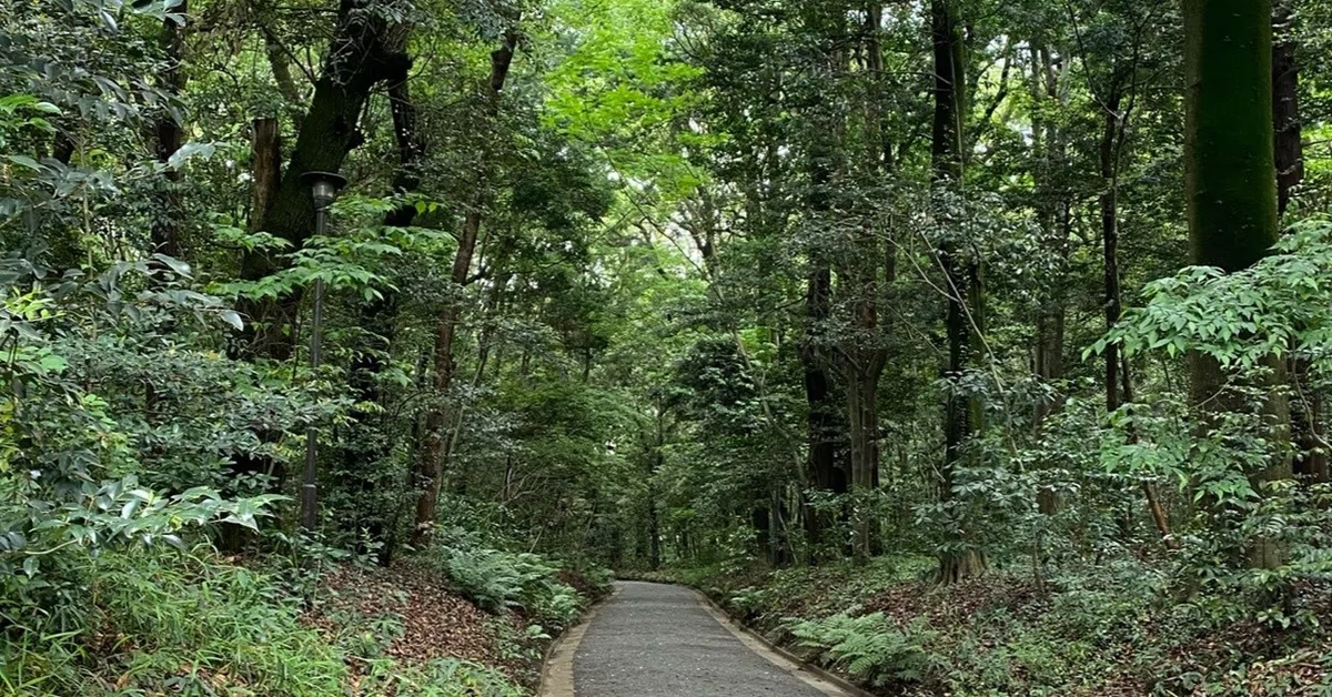 画像20