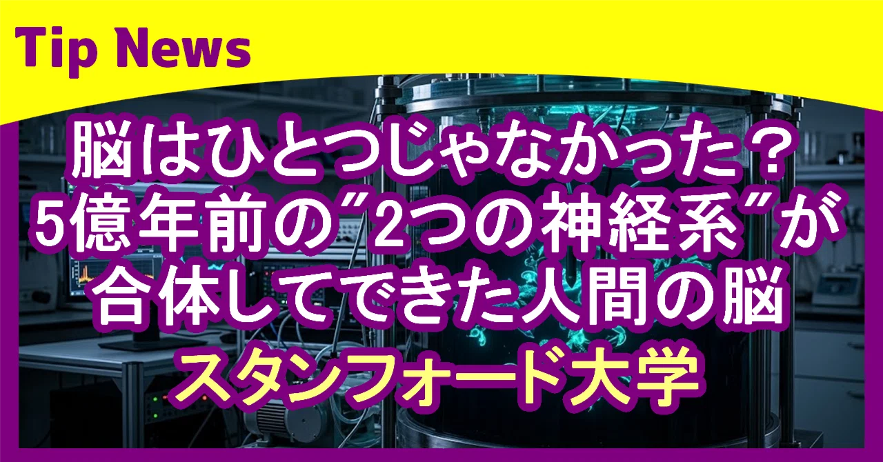 脳はひとつじゃなかった？ 5億年前の