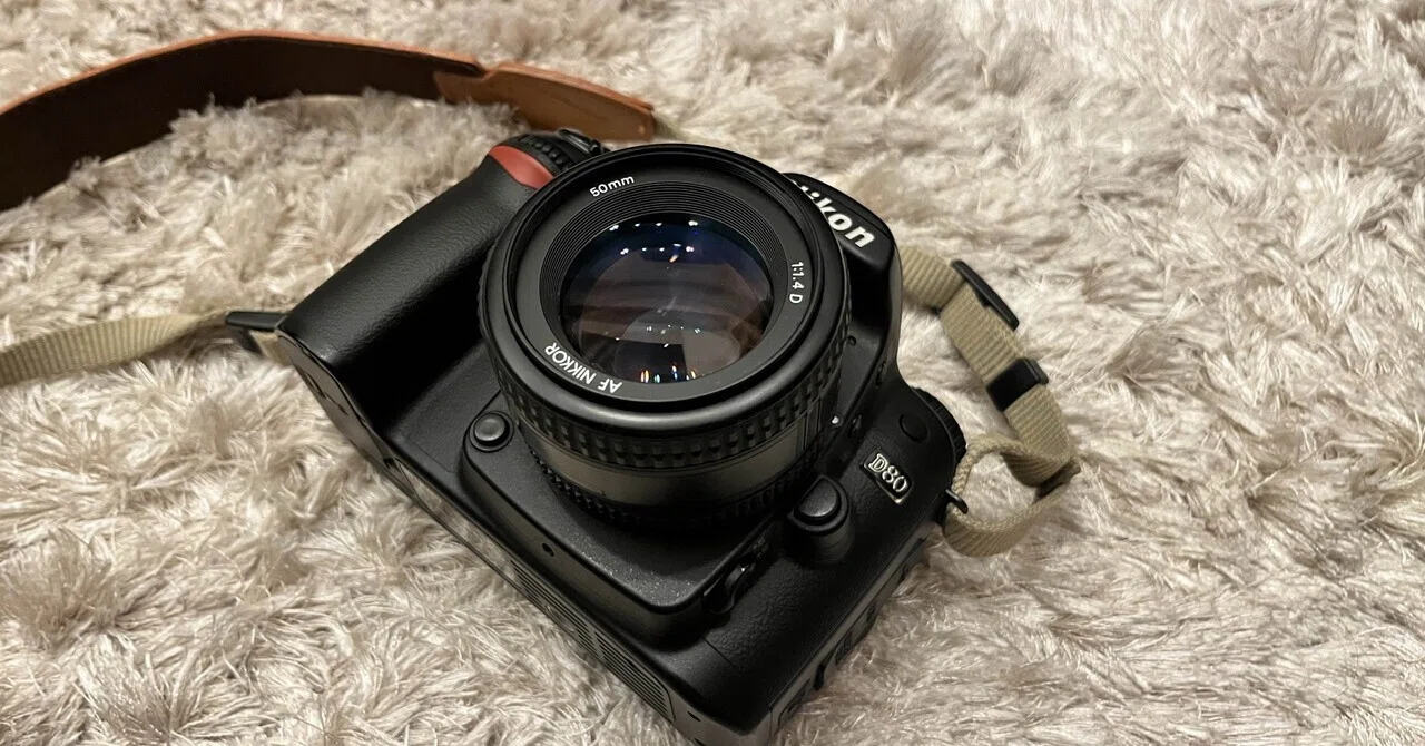 NikonD80を買った｜シナツ川ヨミジ