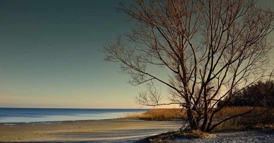 今年の夏はいつも以上に気味が悪い 粉くるみ Note