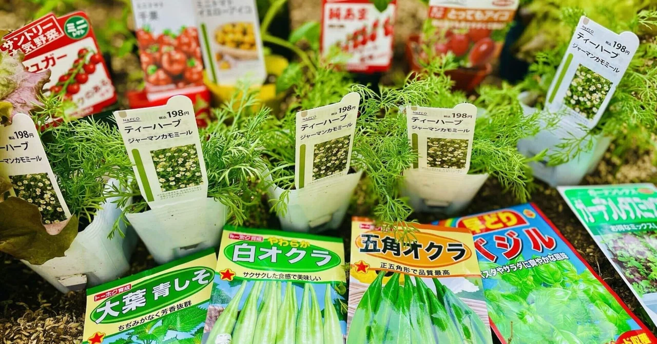 Home Gardening: Should You Choose Seeds or Seedlings? A Rice Farmer's ...