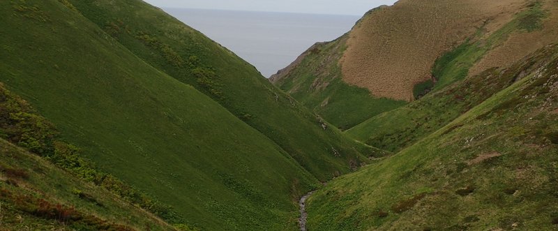 2016年6月3日　礼文島礼文滝