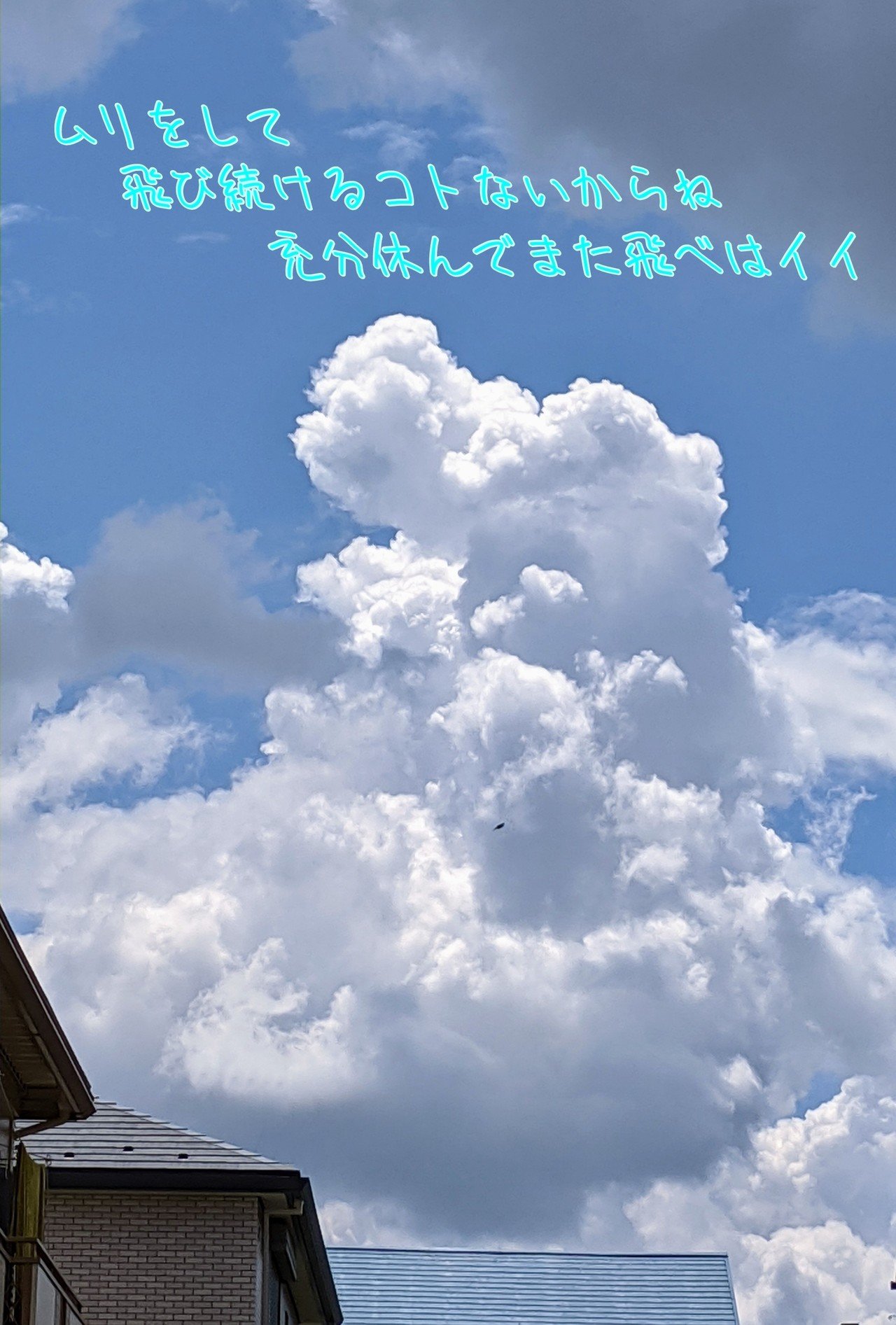 夏雲浮かぶ空の写真に一首 柘榴 Note