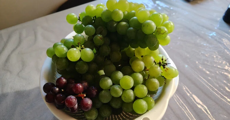 食べ放題