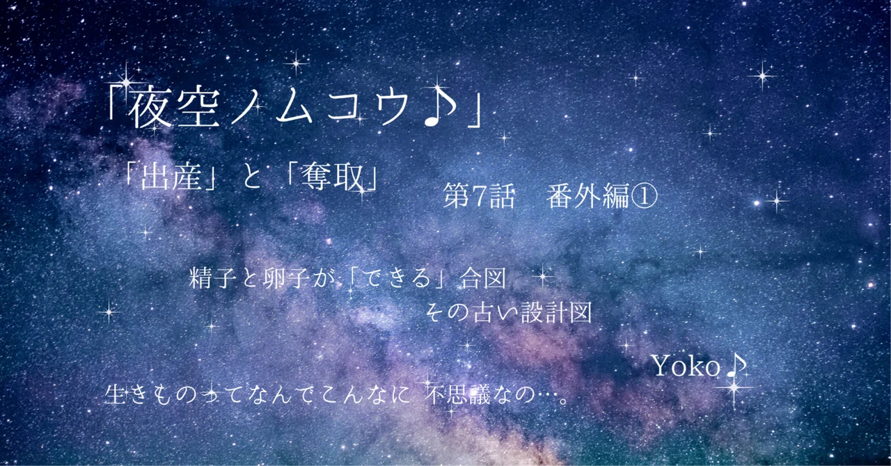 "Birth" and "Capture" Episode 7: Extra Edition ①｜yoko