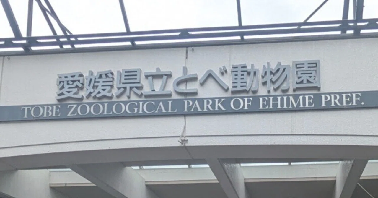 Computer Form Three Notes Computer System A Holiday Excursion, Taking a Deep Breath at an Adult's Zoo—The ...