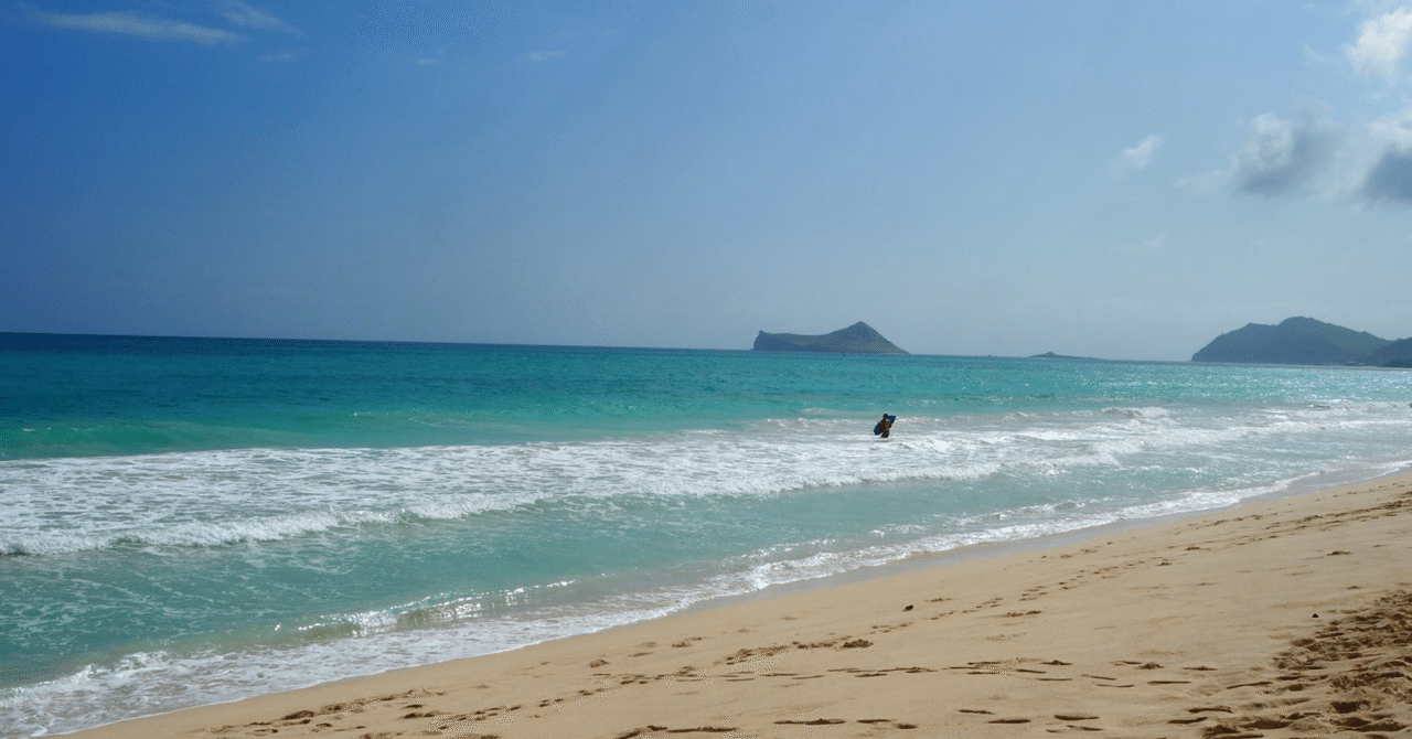 面白い と しらける って色は両方白いけど意味が全然違う Jarratt Hall Life Note 面白い と しらける って色は両方白いけど意味が全然違う Jarratt Hall Life Note