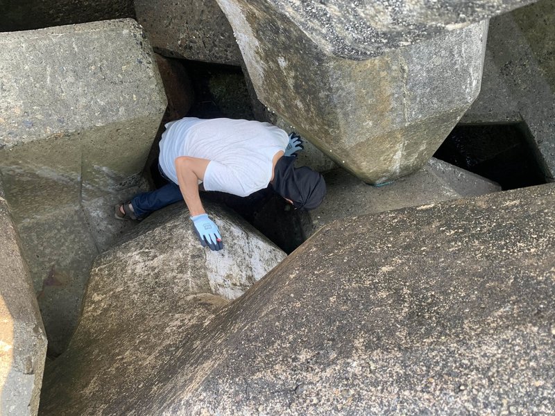 新しい生活 テトラポットにのぼる にしやま あやか Note