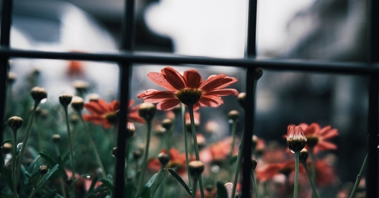 45 星野源さん 地獄でなぜ悪い あゆみ Note 45 星野源さん 地獄でなぜ悪い あゆみ Note