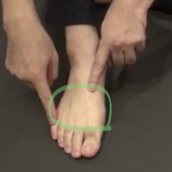 簡単セルフ筋膜ケア 見えない足指 中足骨 のケア Jin Note 簡単セルフ筋膜ケア 見えない足指 中足骨 のケア Jin Note