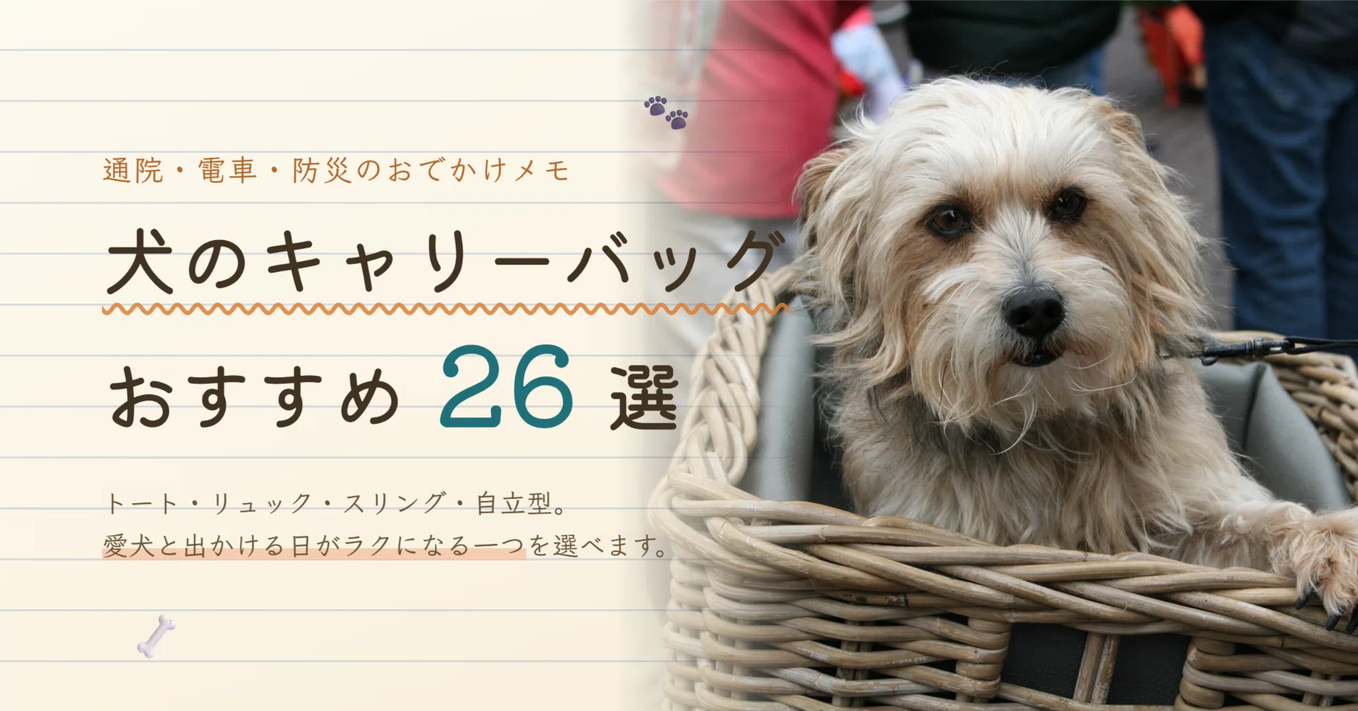 【2026年最新】犬用キャリーバッグの失敗しない選び方を徹底比較！電車移動や通院・災害時の基準