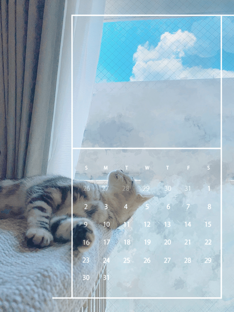 8月カレンダー🗓🐱　
@Cokohore11さんhttps://twitter.com/Cokohore11?s=09のカレンダー素材✖️愛猫