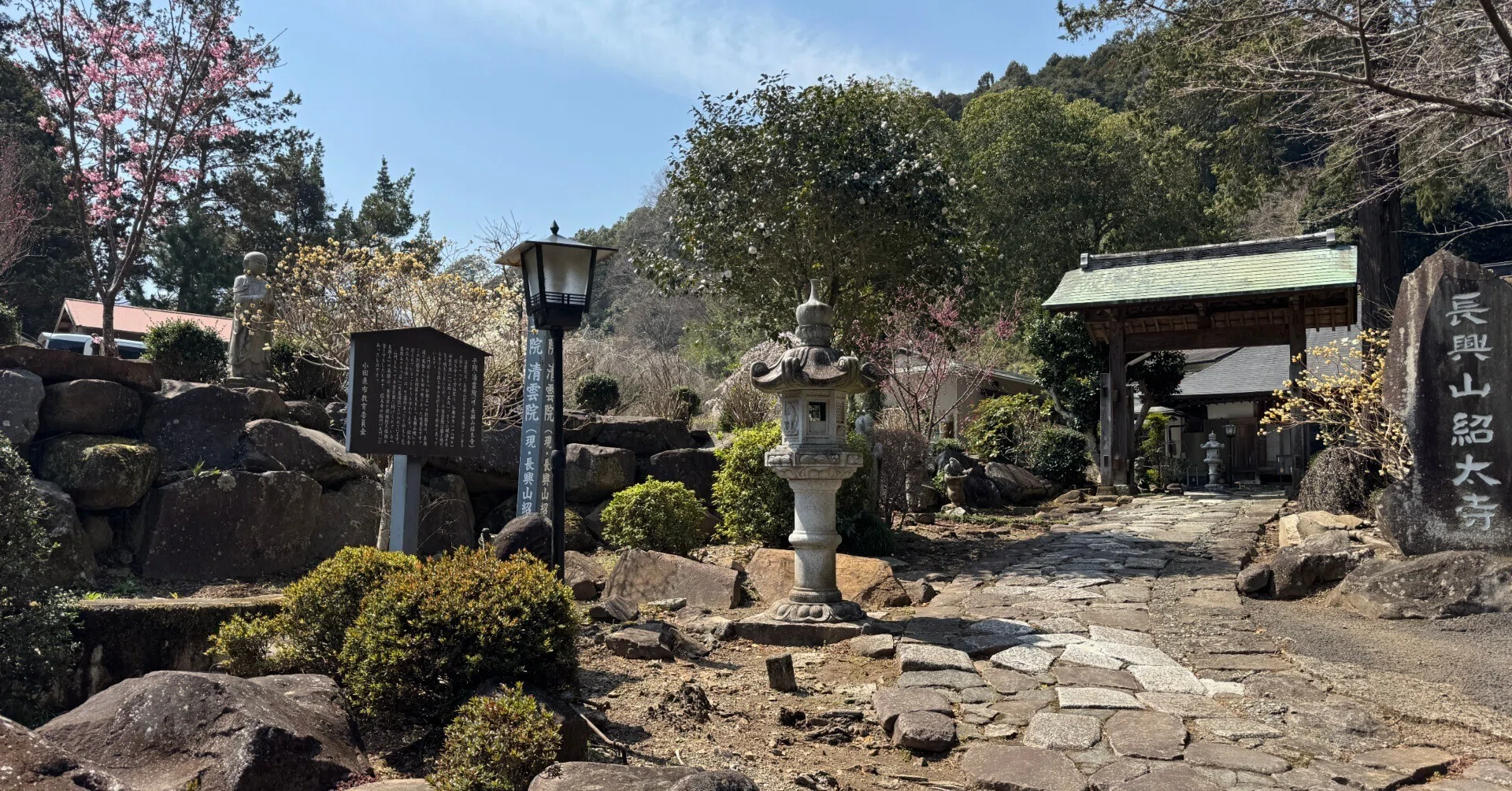 神奈川＞長興山紹太寺普茶料理と名桜咲く茶園｜お茶ガイド