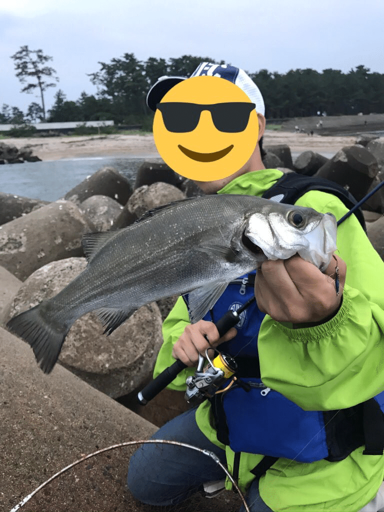 7月に釣れた魚たち 釣り 山阿呆の大学生 Note