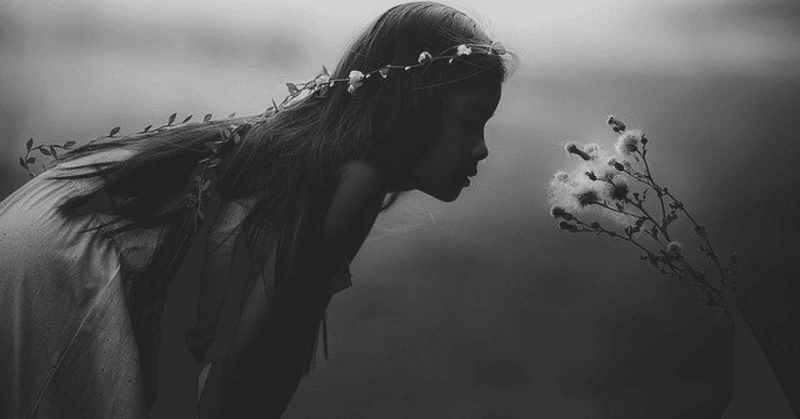 大切な人の特別な存在になる唯一の方法 愛の妖精 綿谷しふみ note