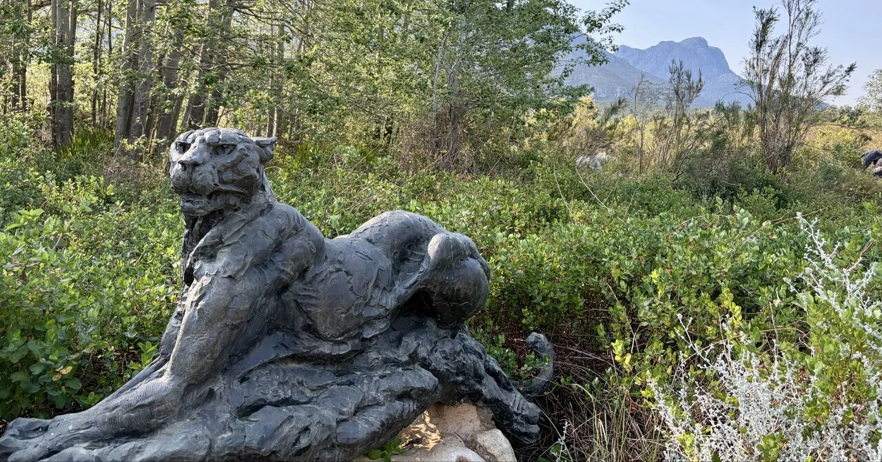 南アフリカのアート庭園を散策｜天野夏海