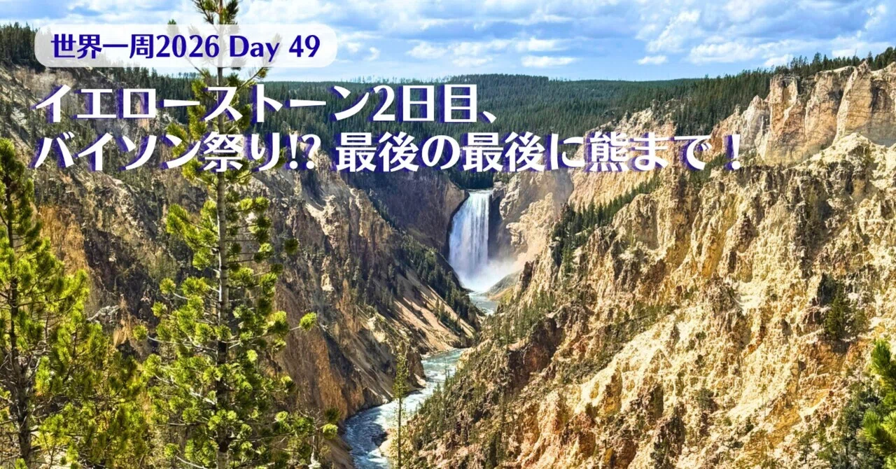 Day 49：イエローストーン2日目、バイソン祭り!? 最後の最後に熊まで