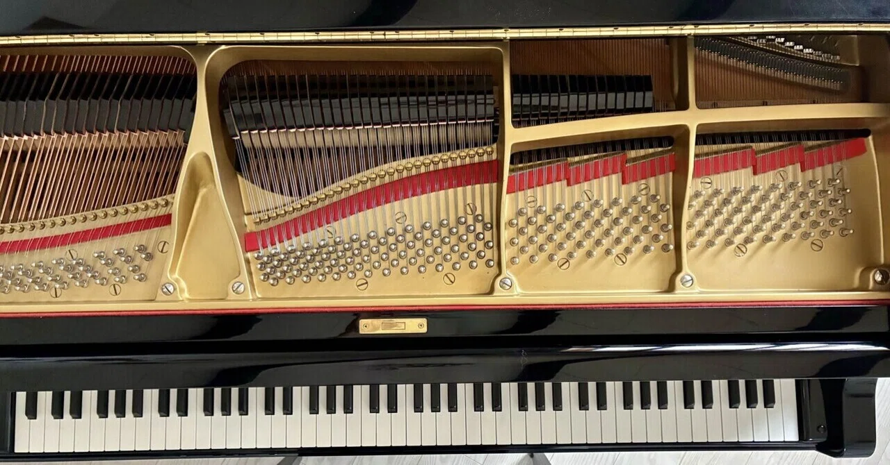 The Grand Piano Black Hole... Solutions for the Problem of Small Items ...