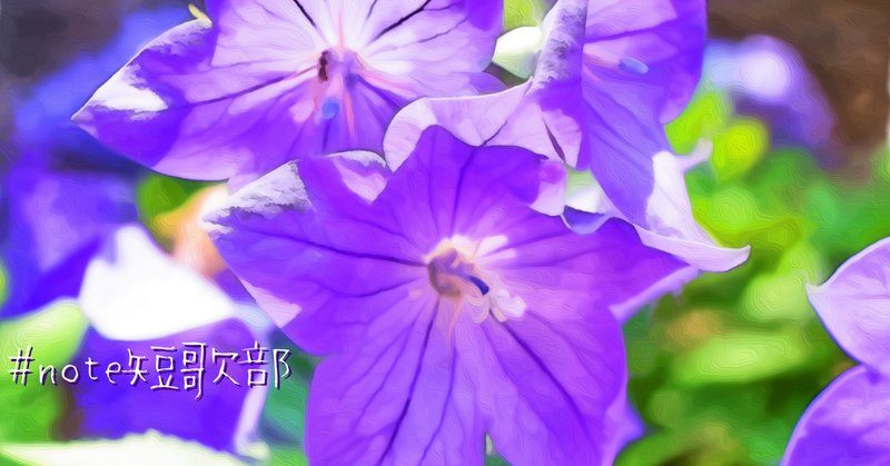 短歌 8月2日 誕生花は桔梗 Note短歌部 御子柴 流歌 Note