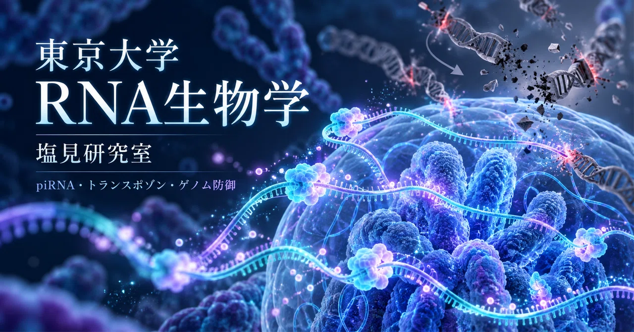 RNAで「ゲノムを守る仕組み」を研究したい高校生へ｜東京大学・塩見研究室でpiRNAとトランスポゾンを探る｜研路 ~研究室から考える進路~