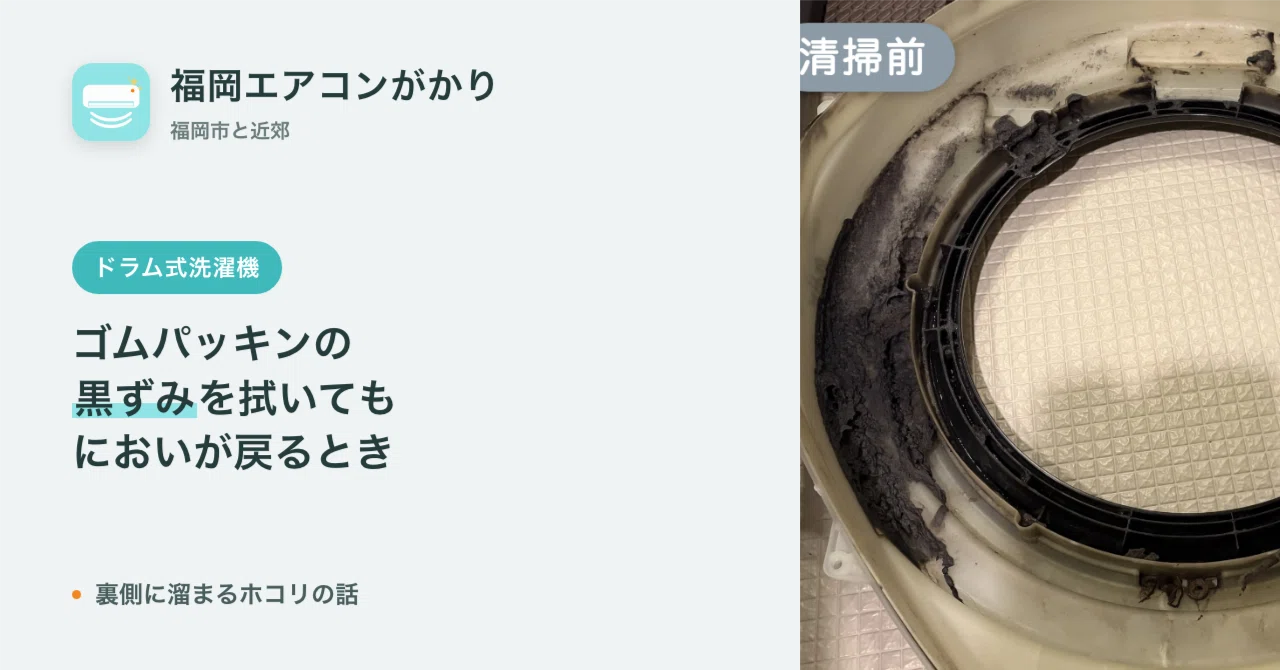 Dark Stains on Front-Loading Washer Rubber Gaskets | What Can Be Wiped ...