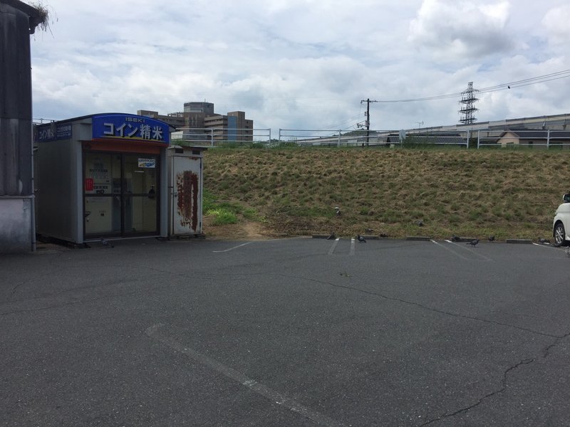 アスファルトの上のとろける鳩 りなえ Note