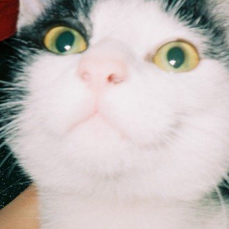 大和ヌレガミ@小説家