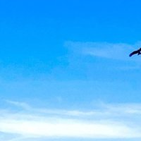 合唱曲 鴎 すまめり Note 合唱曲 鴎 すまめり Note