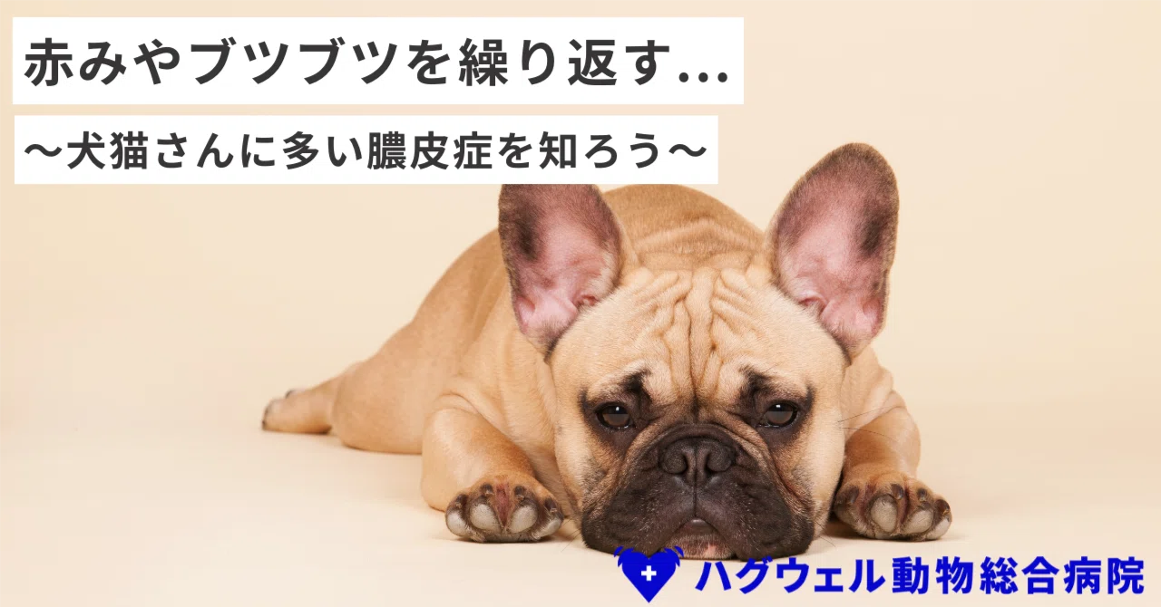 [Supervised by Veterinarians] A Thorough Analysis of Recurring ...