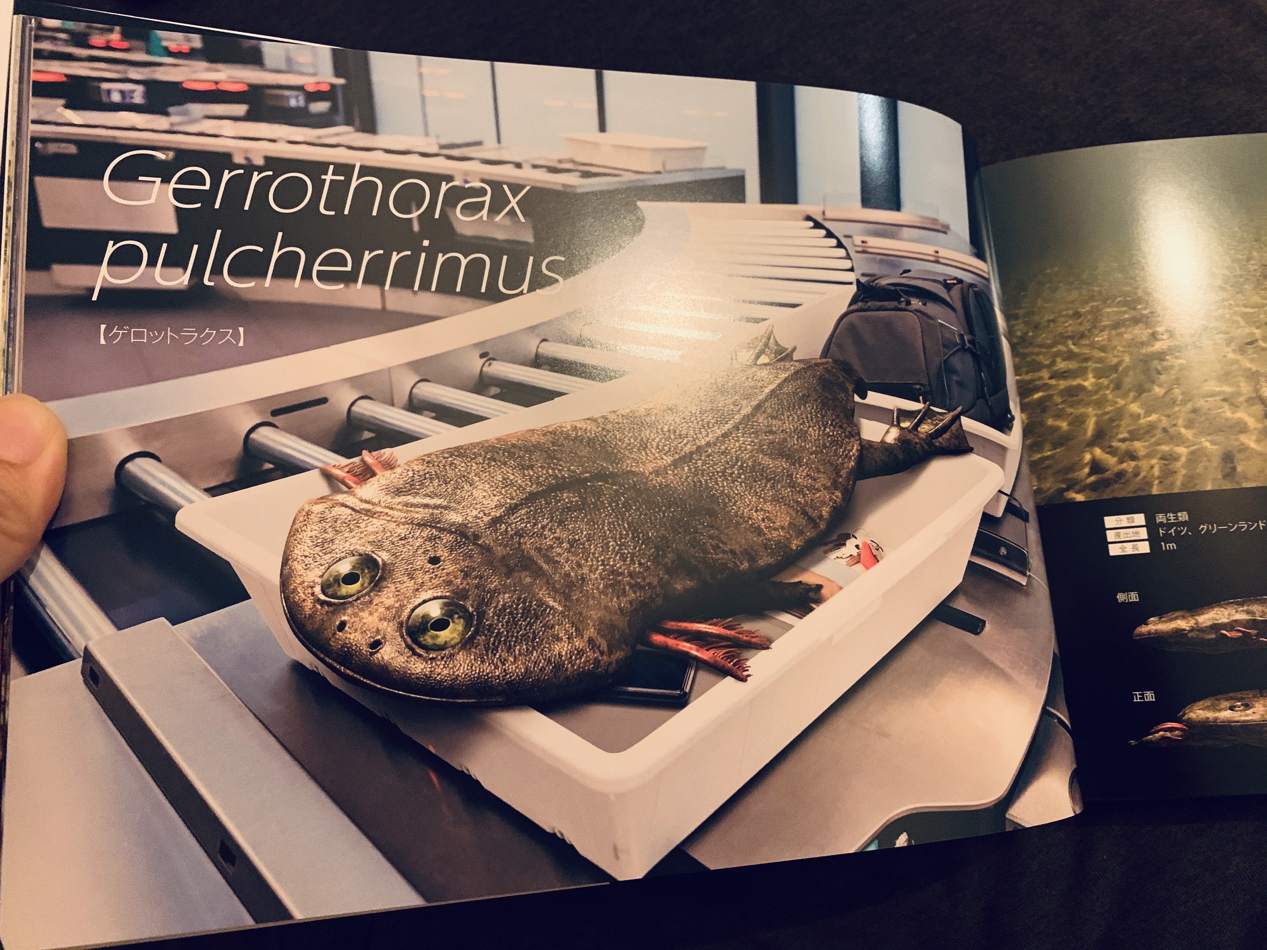 生物　閲覧用 2015年の新種トップ10--異彩を放つ興味深い生物を写真で見る - 4/10