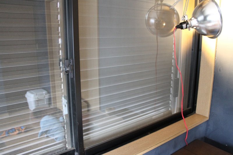 網戸張り替え Nakada Shugo Note