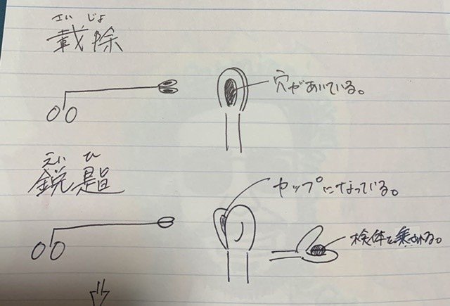 耳鼻科 載除鉗子