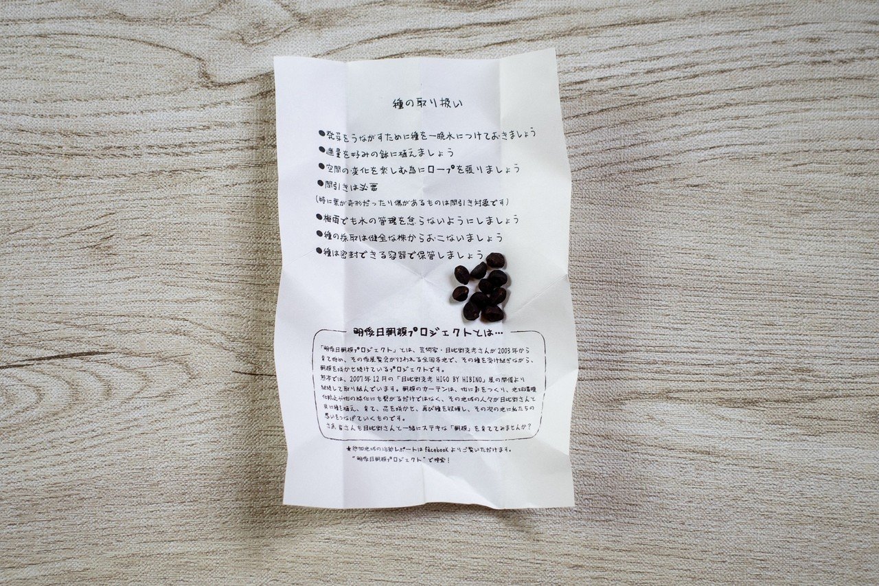 朝顔観察記 コノハ オノチハル 写真と言葉 Note