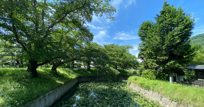 日本にふたつしかない五稜郭 - 長野県・龍岡城