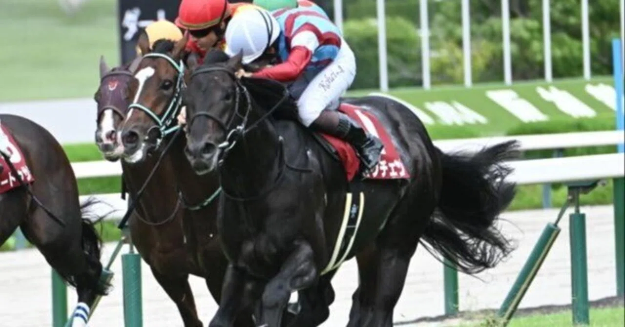 ロブチェン神戸新聞杯制覇】初めてパドックで見た二冠馬――王者のオーラ