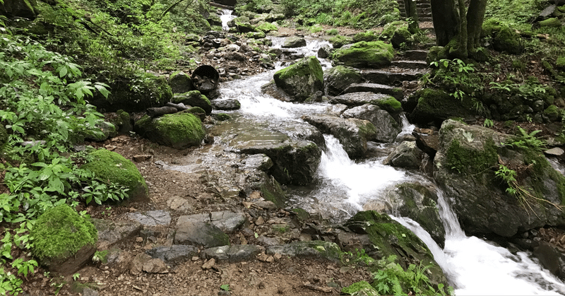 御岳／大岳／馬頭刈尾根