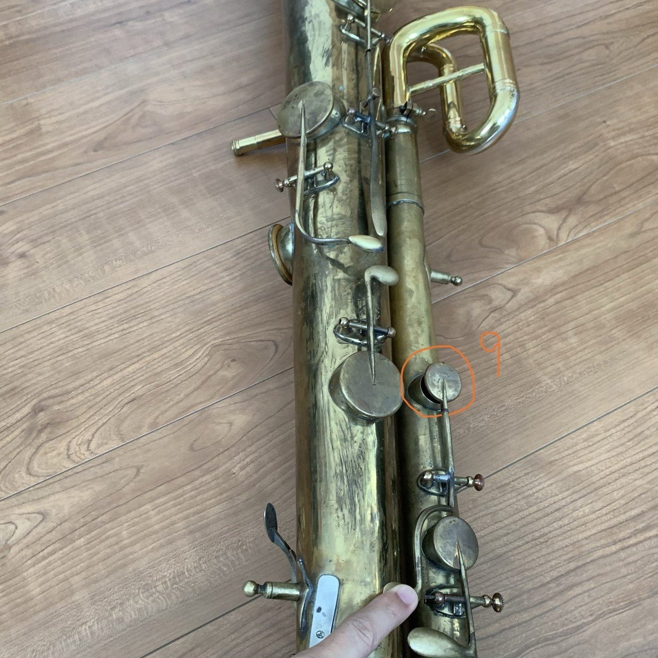 セルパン奏者がオフィクレイドに挑戦する 02 橋本晋哉 Tuba Serpent Ophicleide Note