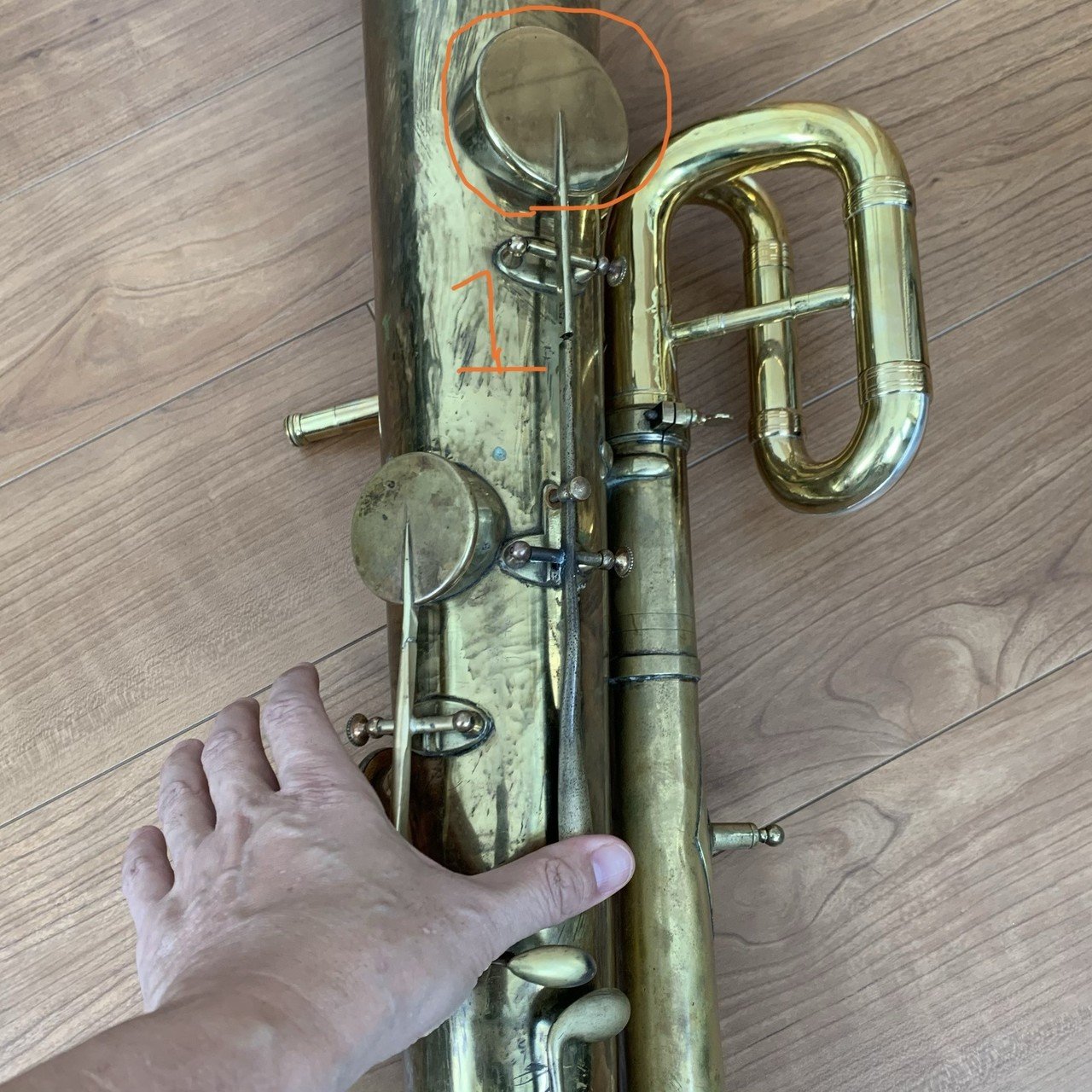 セルパン奏者がオフィクレイドに挑戦する 02 橋本晋哉 Tuba Serpent Ophicleide Note