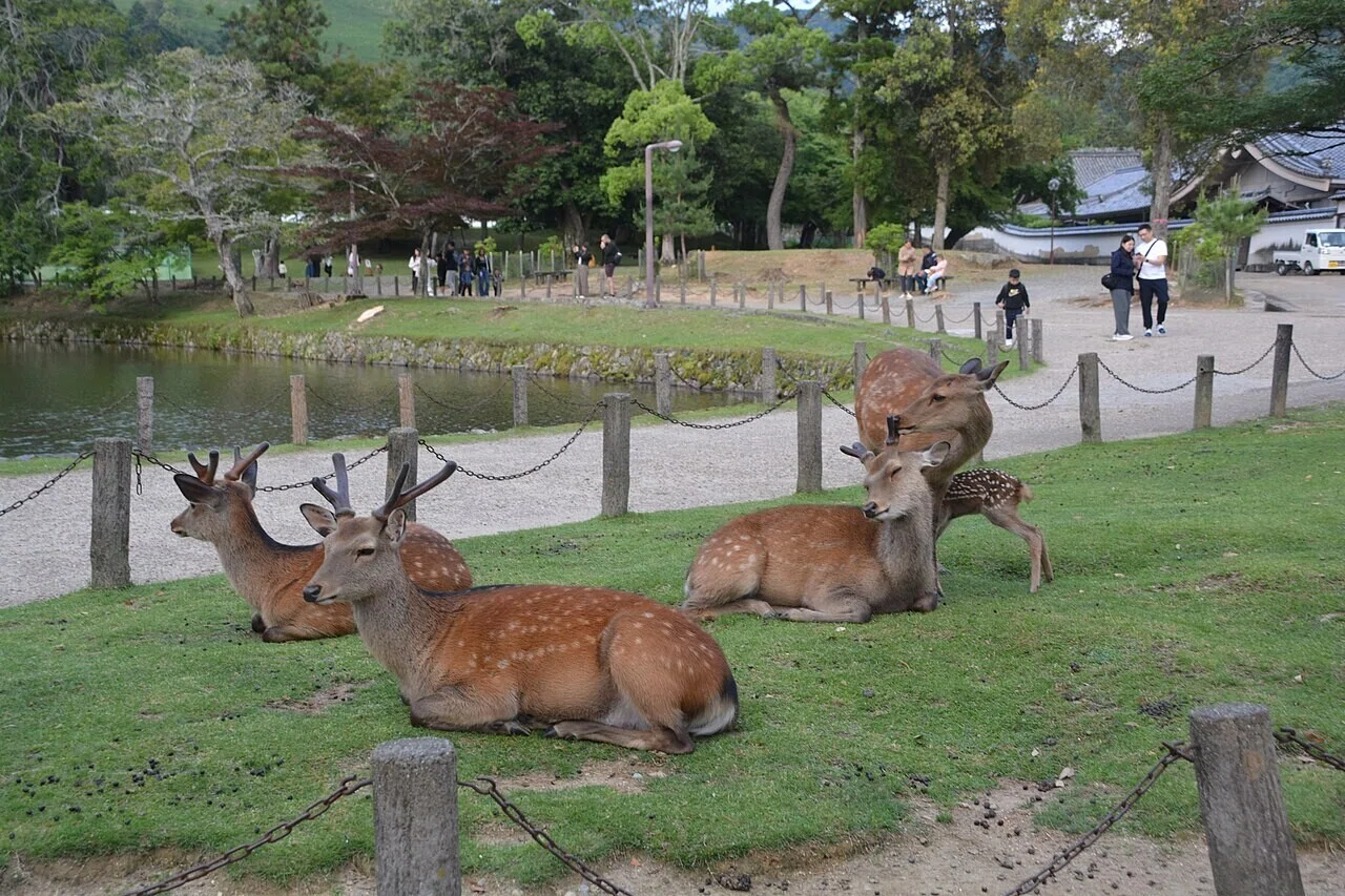 草地に寝そべる鹿と、そのそばを歩く人々の姿。過ごしやすい昼下がりの公園の様子が、時間帯別の実測データに重なる一枚だ。