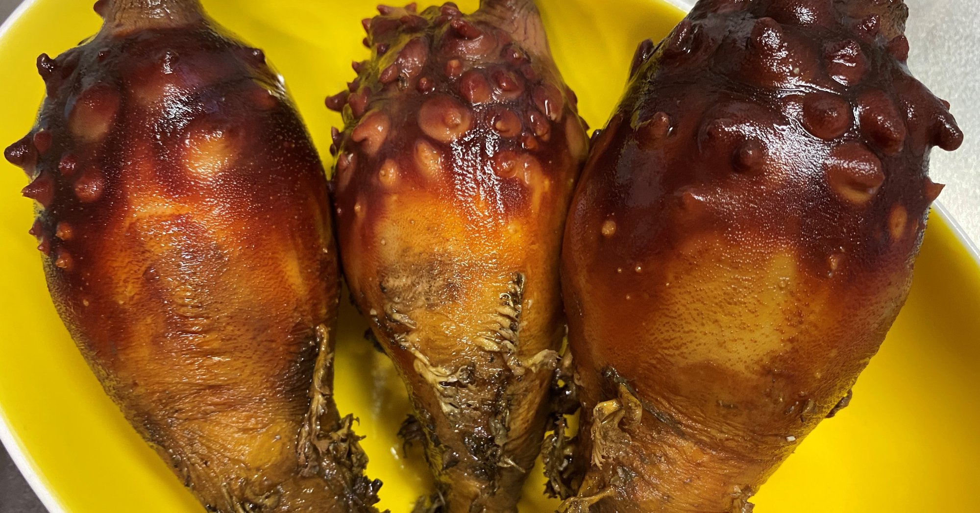 ほやはホヤ水で頂きましょう Rhizomethebooks Note ほやはホヤ水で頂きましょう Rhizomethebooks Note