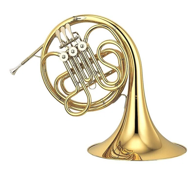 [Basic Knowledge] Why Smaller Instruments Produce Higher Sounds｜楽器王服部さとる
