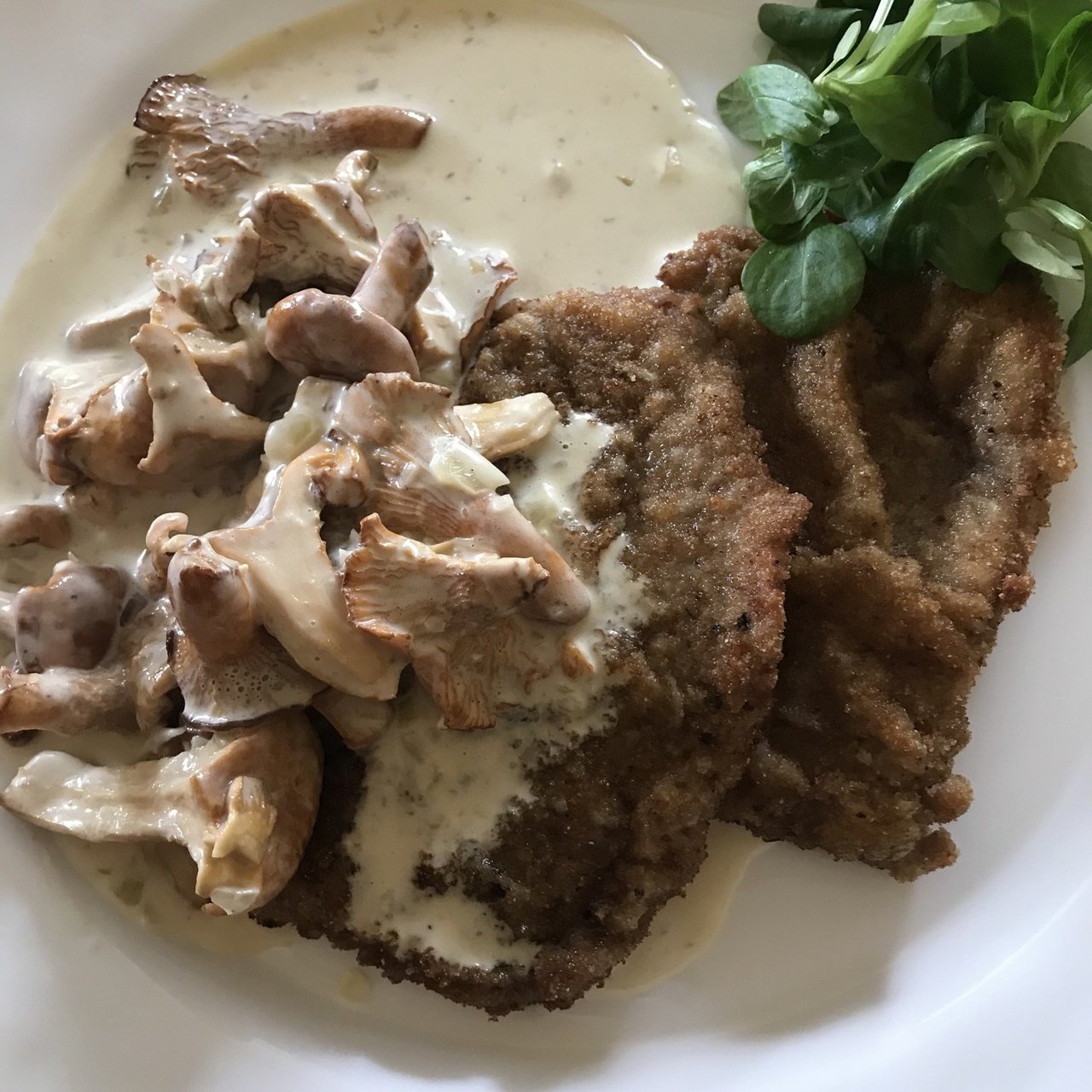 シュニッツェルのアンズタケソースとリンゴ入りラプンツェルサラダ Yoko De ドイツ暮らし Note