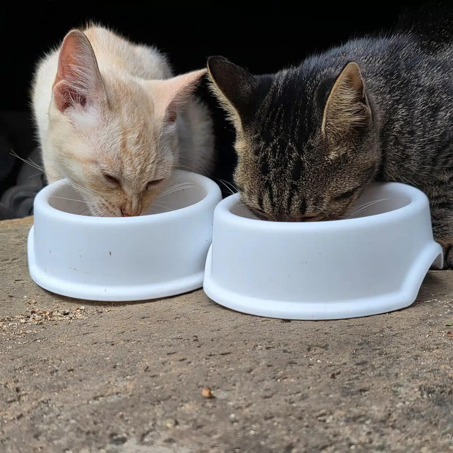 まろく