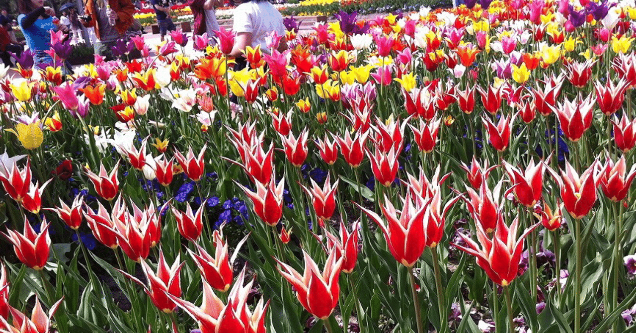 メール星人 の新着タグ記事一覧 Note つくる つながる とどける