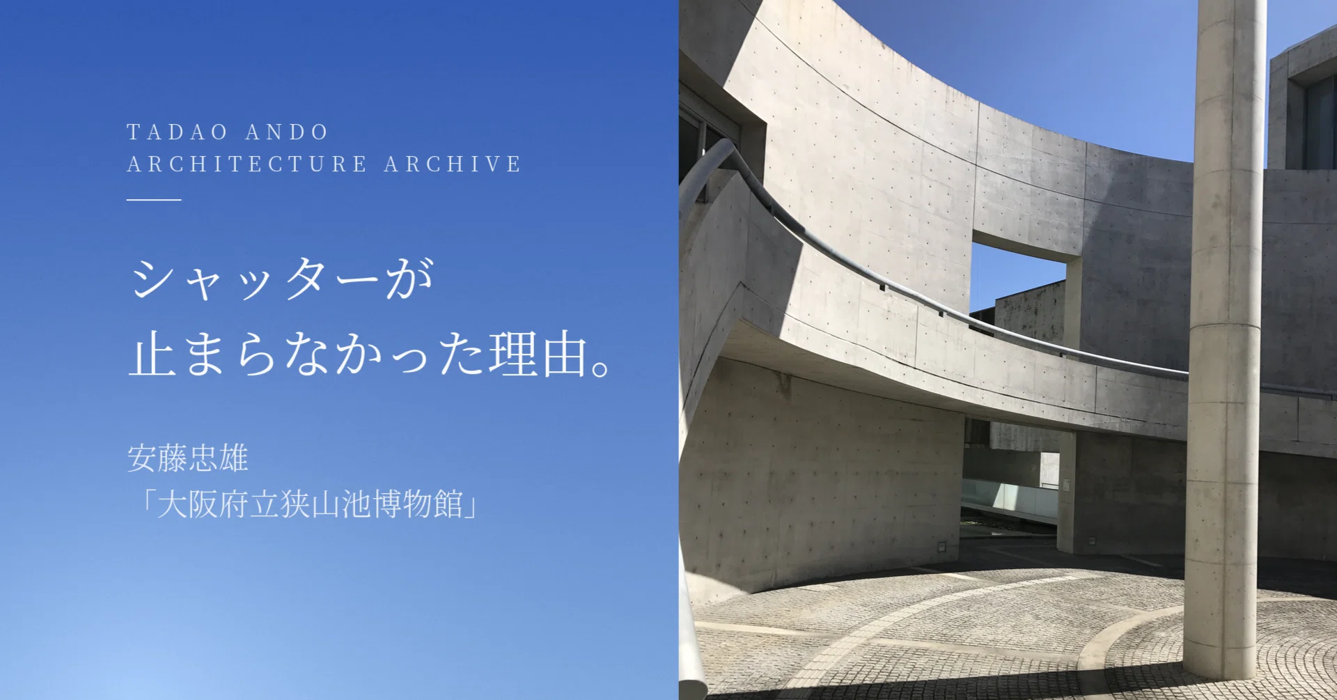 安藤忠雄「狭山池博物館」でシャッターが止まらなかった理由｜Tadao